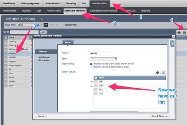 login into Infoblox and we will see our List with the data we passed in via an API