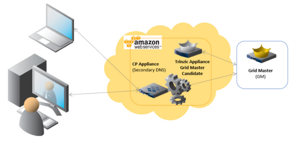API Access | Automation