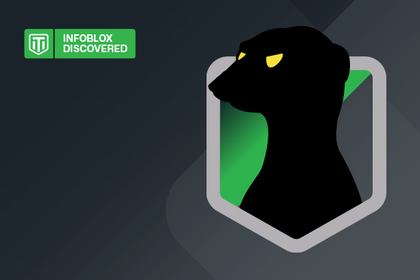 A Cunning Operator: Muddling Meerkat and China’s Great Firewall