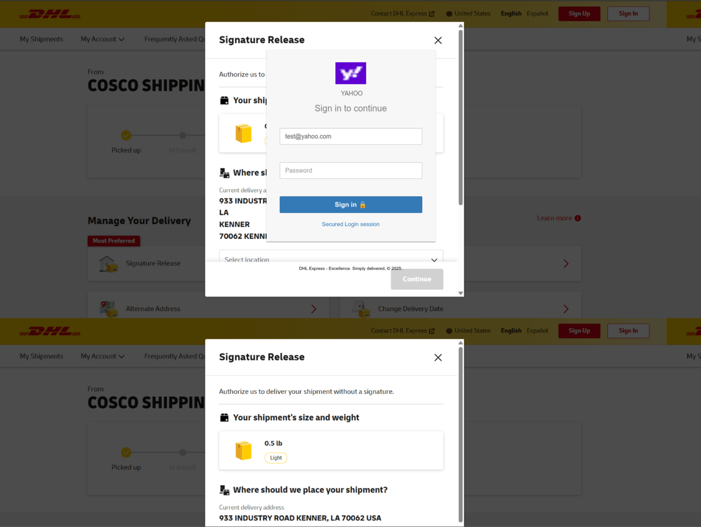 Figure 12. DHL Express email phishing page