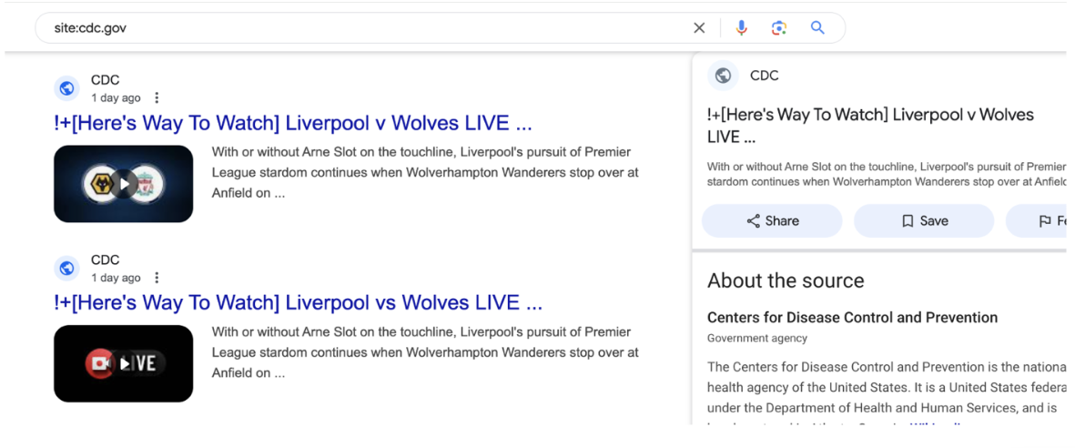 Figure 2. An example of Hazy Hawk hijacked domains in Google search results on February 16, 2025 