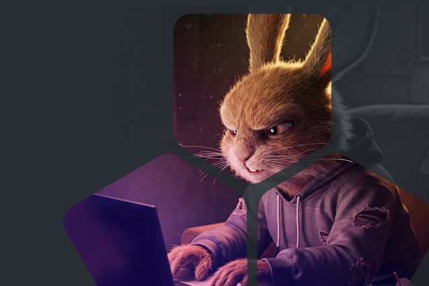 Uncovering Actor TTP Patterns and the Role of DNS in Investment Scams