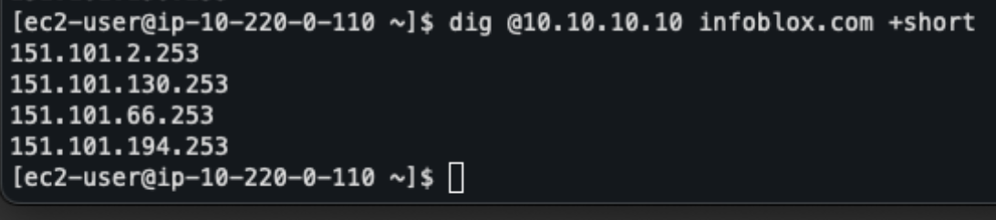 Figure 17. EC2 in PROD (Frankfurt)—dig output resolving via Anycast IP 