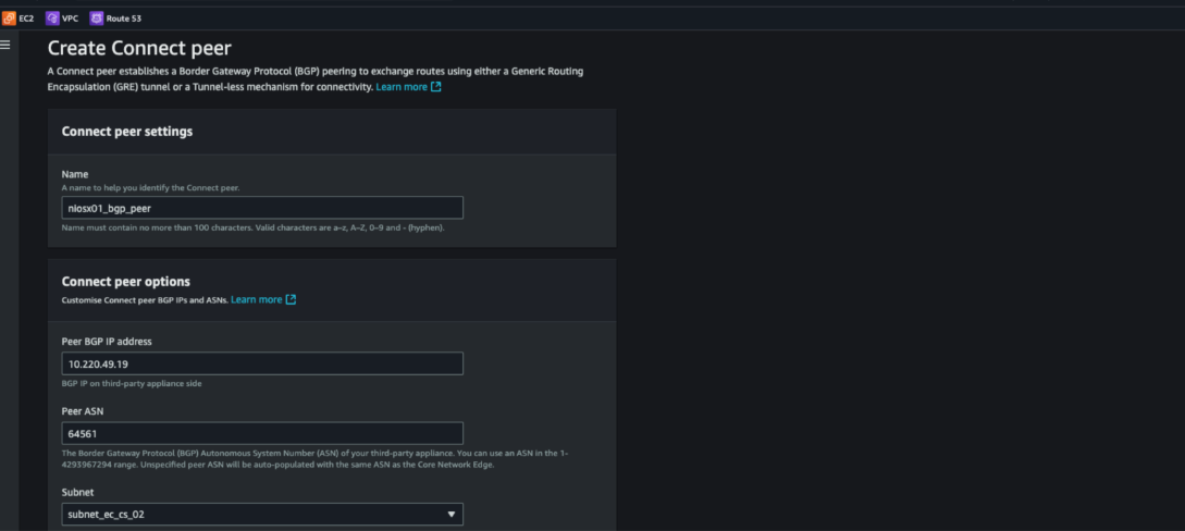 Figure 7. Connect attachment BGP peer’s configuration (peer IPs, ASNs)