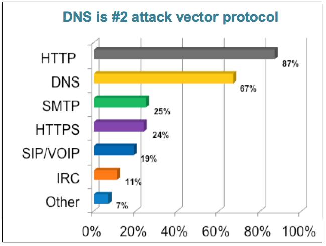 DNS Report