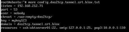 Figure 3.  Configuration on DNS2TCP Server