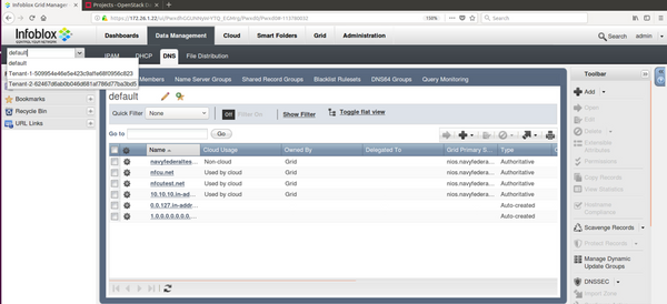 Holistic view of the same tenants in Infoblox