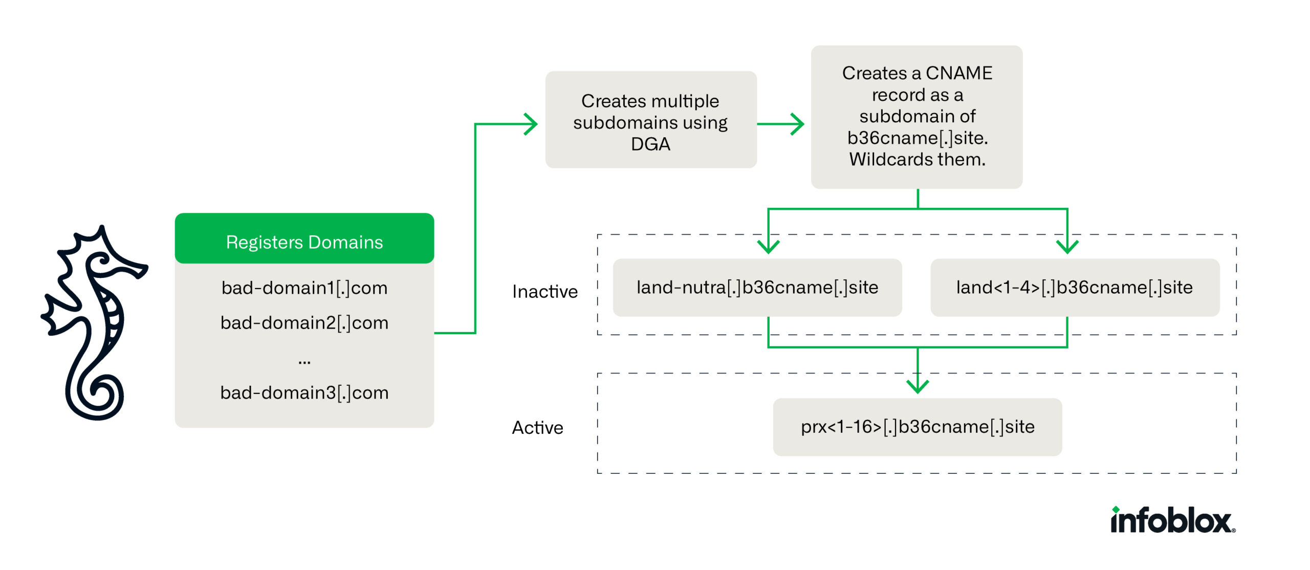 An overview of Savvy Seahorse’s operations