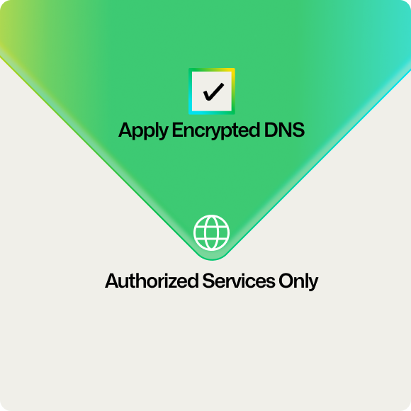 Un graphique avec une case à cocher à côté du texte « Appliquer le DNS chiffré », indiquant « Services autorisés uniquement ».
