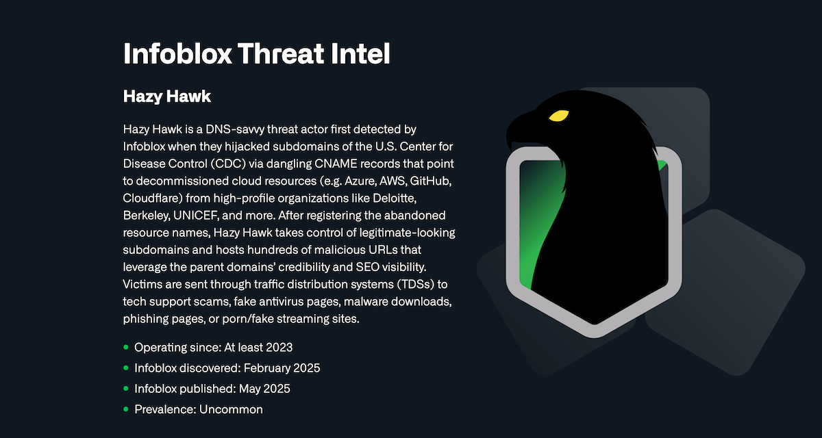 Hazy Hawk：ドメインハイジャックの脅威アクター - Infoblox
