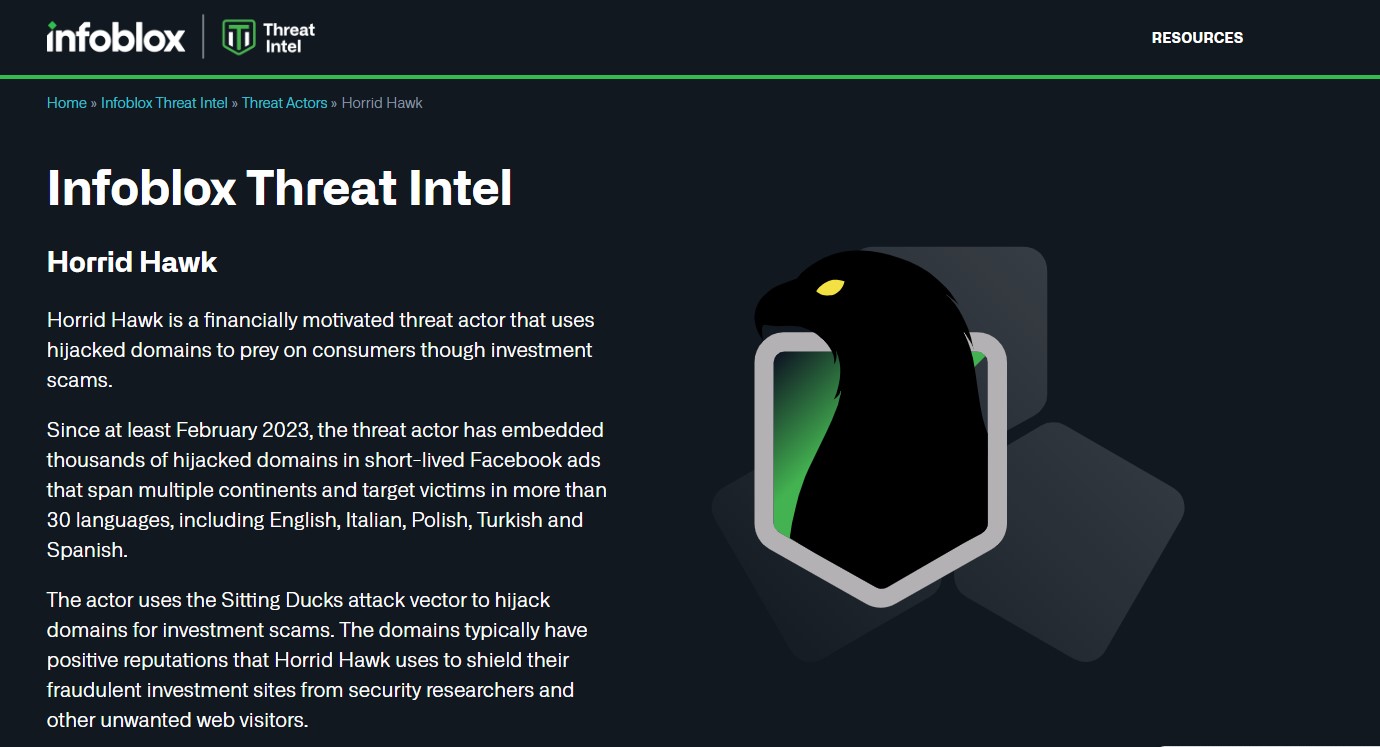 Horrid Hawk：新しいドメインハイジャックの脅威アクター | Infoblox