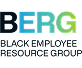BERG Logo