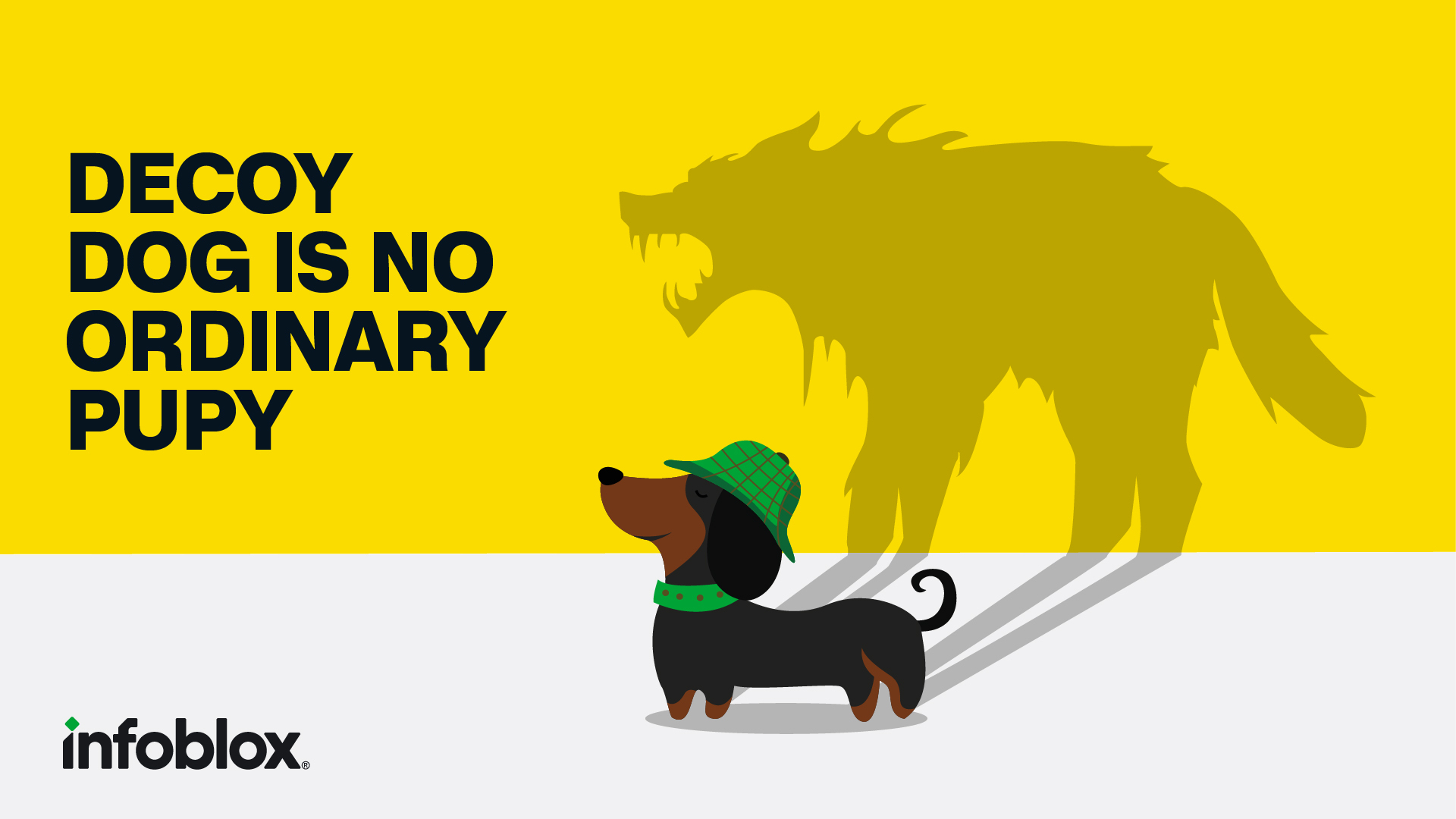 Decoy Dog is No Ordinary Pupy Infoblox Reveals Shift in Malware