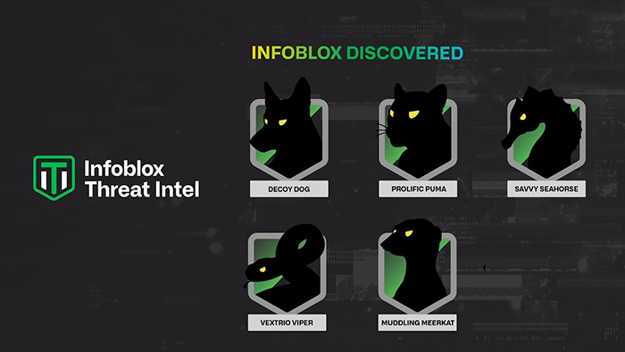 Infoblox discovers several threat actors using DNS  throughout 2023 and 2024 including: Decoy Dog, Prolific Puma, Savvy Seahorse, VexTrio Viper and Muddling Meerkat.