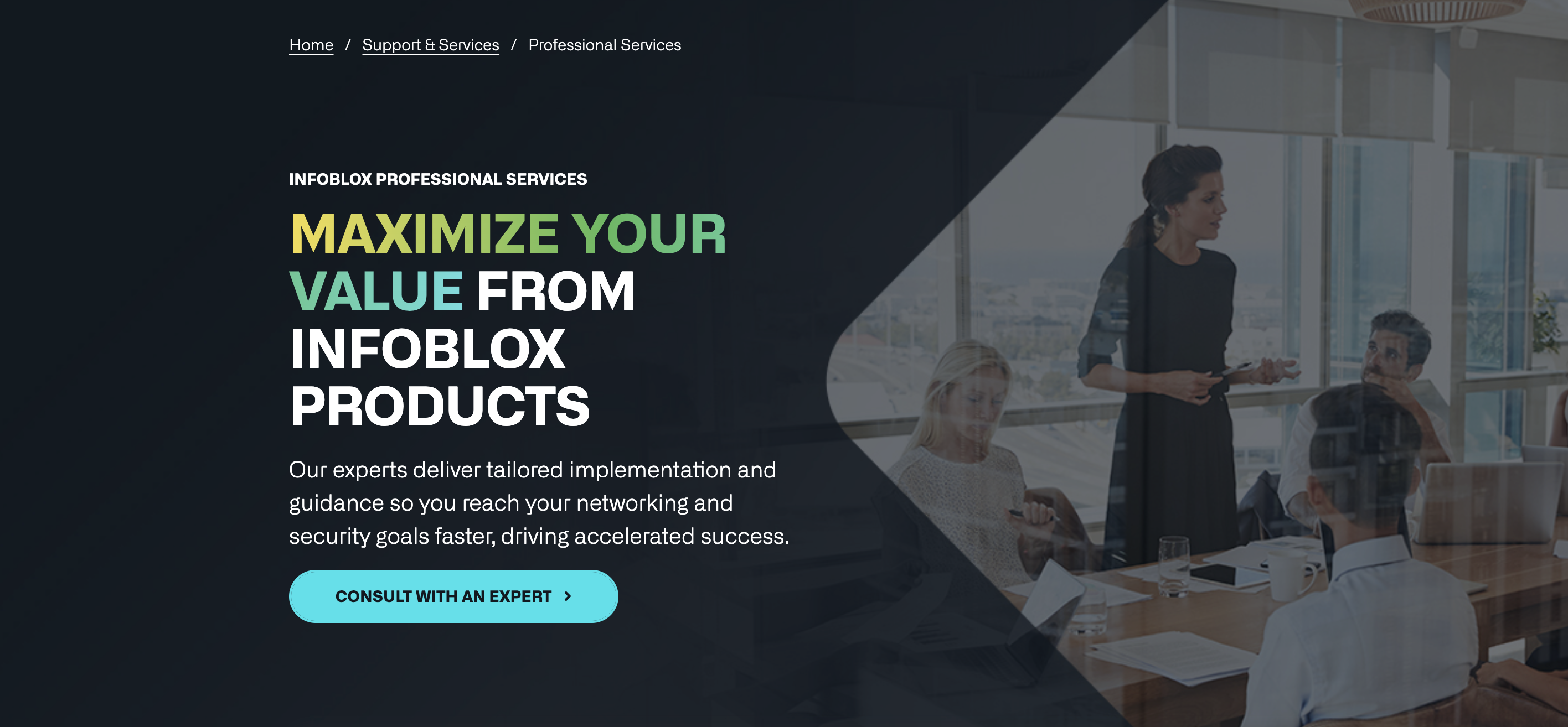 Professional Services Overview