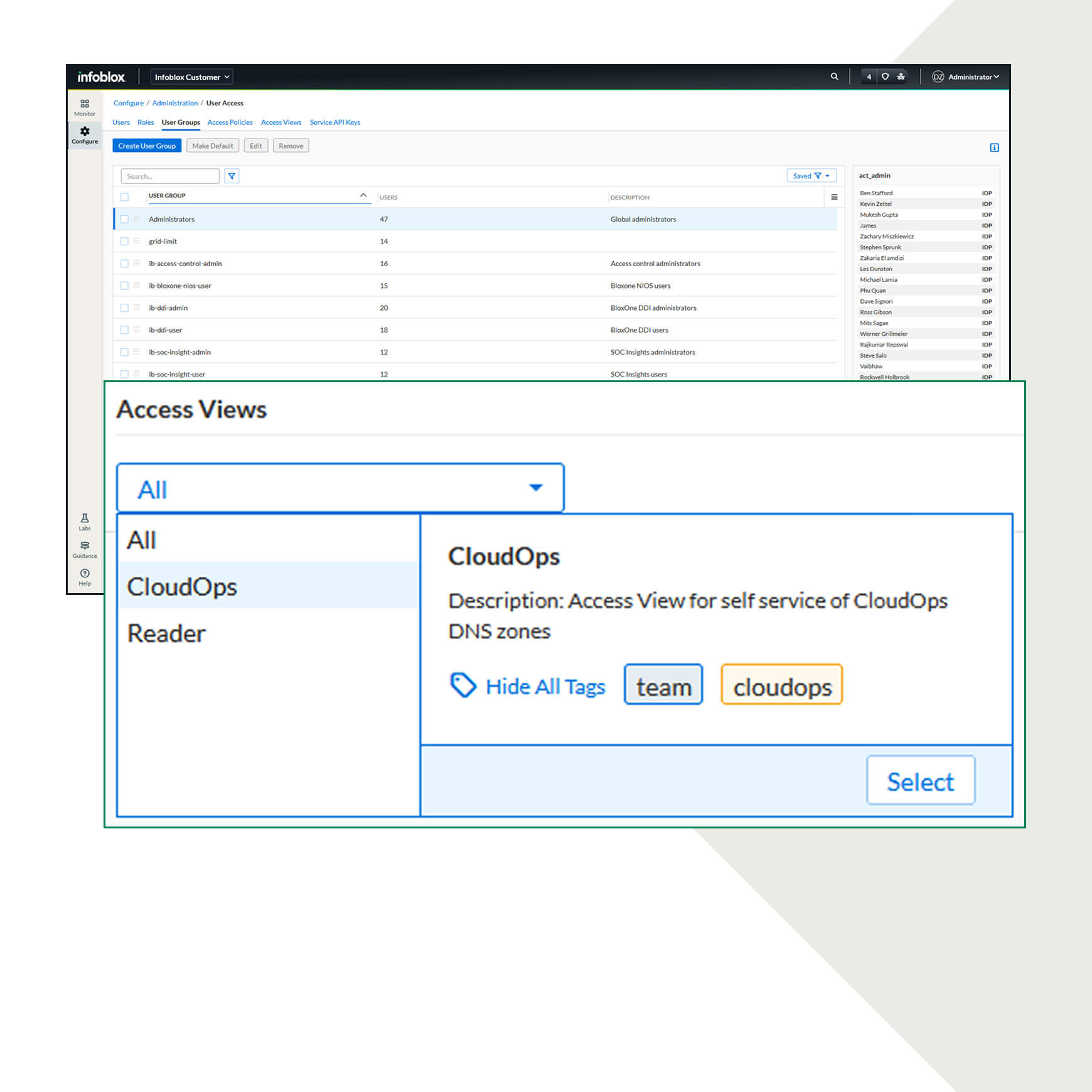 Administrative Domain Management in the Infoblox Portal.